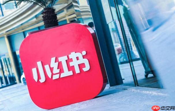 小红书如何拍摄美食类优质内容 小红书美食笔记的创作秘籍