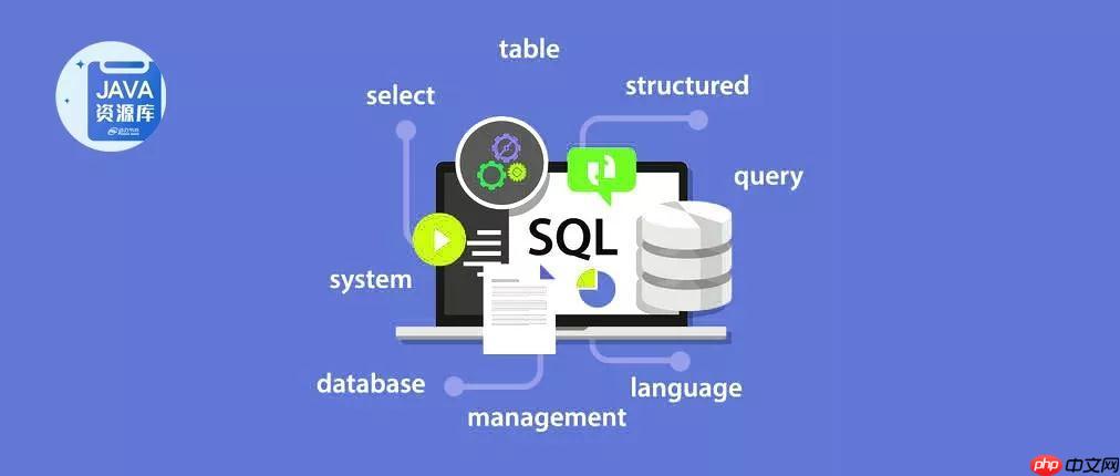 审核用的 SQL 是啥?详解 审核用的 SQL 在数据校验中的核心功能与优势