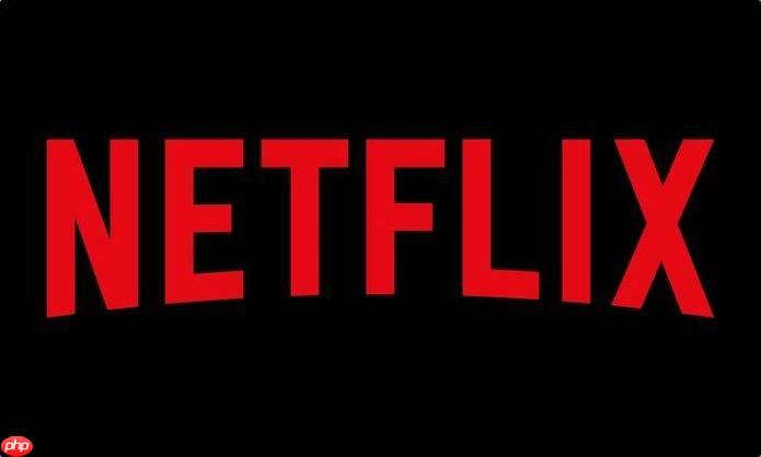 Netflix奈飞简体中文字幕设置 完整界面语言修改流程解析