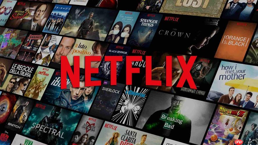 Netflix奈飞如何调整简体字幕 详细中文界面语言切换方法