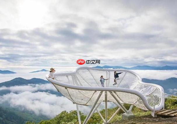 星野app的会员权益有哪些 星野app的VIP服务对比评测