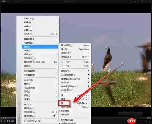 kmplayer plus怎么加速？kmplayer plus加速的方法