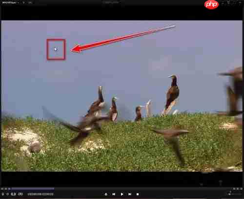 kmplayer plus怎么加速？kmplayer plus加速的方法