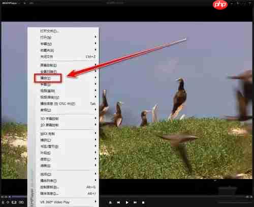 kmplayer plus怎么加速？kmplayer plus加速的方法