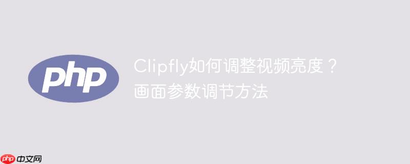 Clipfly如何调整视频亮度?画面参数调节方法
