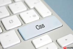 CSS怎样制作图片悬浮放大镜效果？zoom属性实战技巧