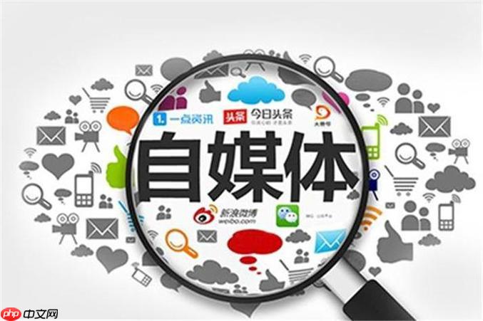 蝴蝶号如何开通付费专栏 蝴蝶号内容变现的高级玩法