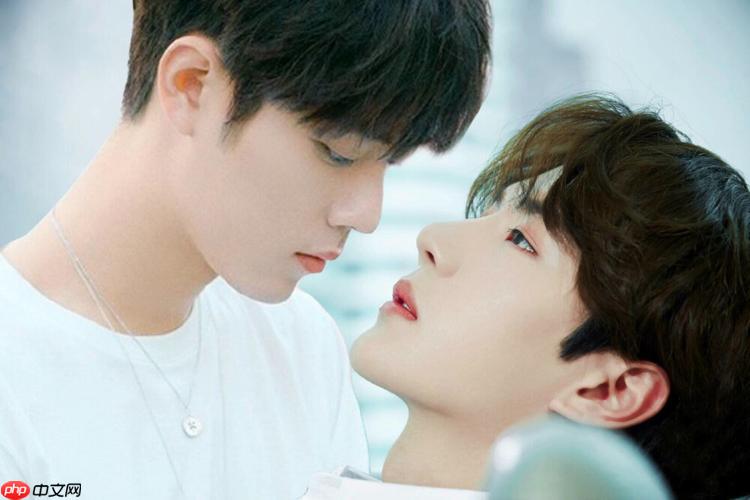 12个免费观影神器推荐 海量高清影视告别剧荒时代