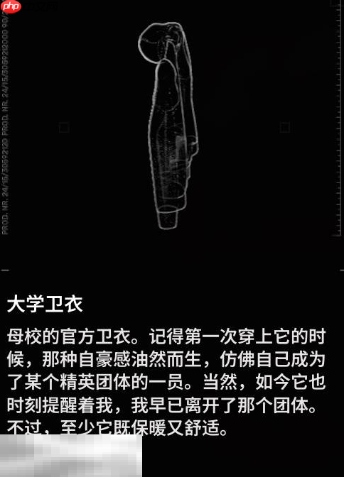 多重人生全收集品怎么获取 全收集品获取攻略