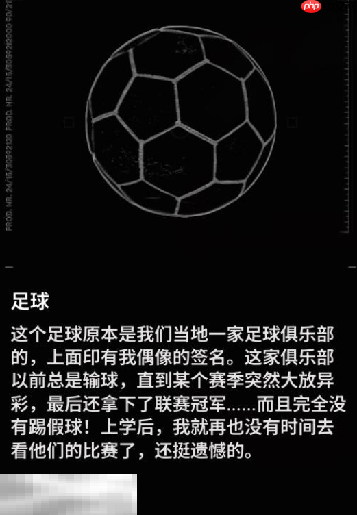 多重人生全收集品怎么获取 全收集品获取攻略