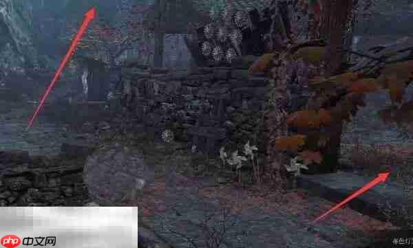 明末渊虚之羽白家祠堂在哪 白家祠堂具体位置攻略​