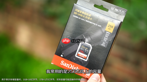 夏日出逃纵情旷野:闪迪助力露营玩家解锁自然治愈能量