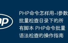 PHP命令怎样用-l参数批量检查目录下的所有脚本 PHP命令批量语法检查的操作指南