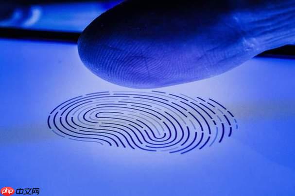 指纹浏览器ip购买网站是什么 优质代理IP购买渠道推荐