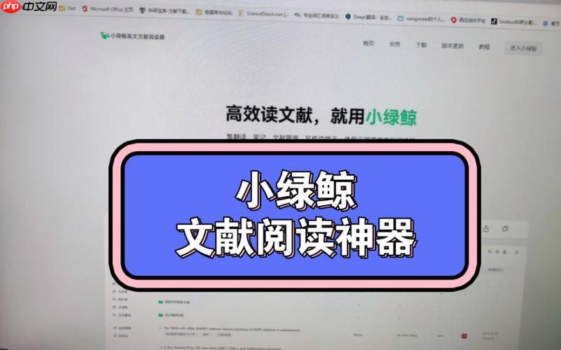 小绿鲸英文文献阅读器使用技巧大全 小绿鲸英文文献阅读器轻松掌握阅读诀窍