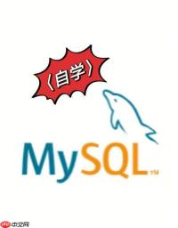 MySQL视图如何高效创建？MySQL数据管理的25个实用技巧