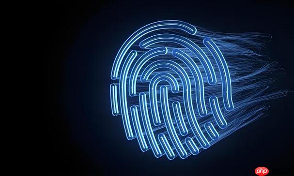 云登指纹浏览器的收费标准是什么 套餐价格及功能对比