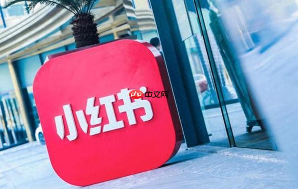 小红书如何实现笔记SEO优化 小红书搜索排名的提升技巧