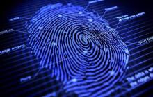 店群专用指纹浏览器是什么 专为店群运营设计的防关联浏览器解析