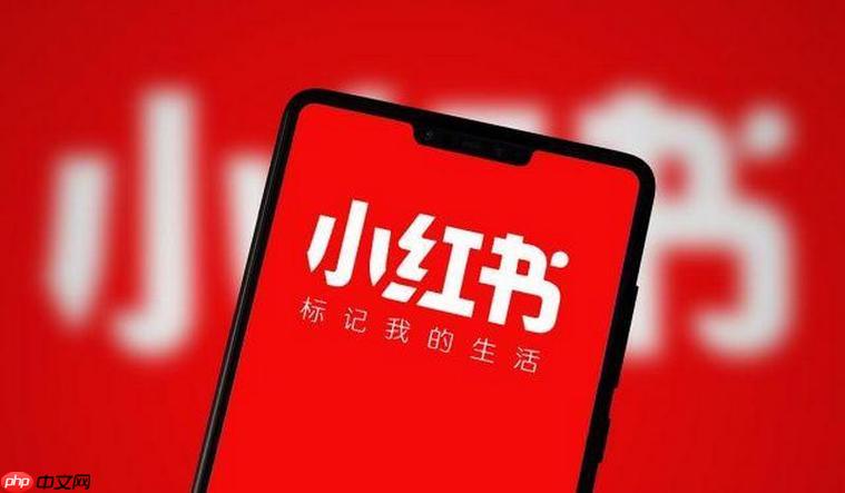 小红书如何通过数据分析优化广告 小红书广告投放的效果提升技巧