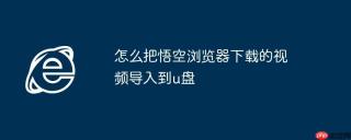 怎么把悟空浏览器下载的视频导入到u盘