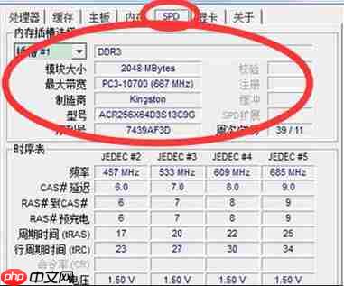 cpu-z 怎么看内存?cpu-z 看内存的方法
