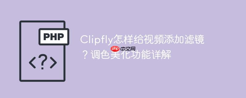 Clipfly怎样给视频添加滤镜？调色美化功能详解