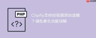 Clipfly怎样给视频添加滤镜？调色美化功能详解
