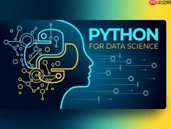 Python如何制作区块链浏览器？Flask+Web3.py