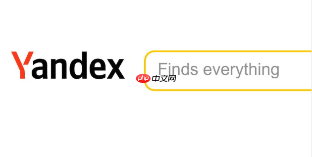 如何清理Yandex浏览器 俄罗斯引擎Yandex缓存与历史记录指南