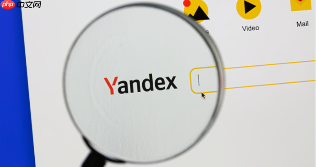 如何导出Yandex浏览器 俄罗斯引擎Yandex历史记录与数据技巧