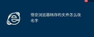 悟空浏览器转存的文件怎么改名字
