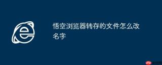 悟空浏览器转存的文件怎么改名字