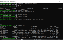 Windows 10 下安装Linux子系统 和 Docker 遇到的问题