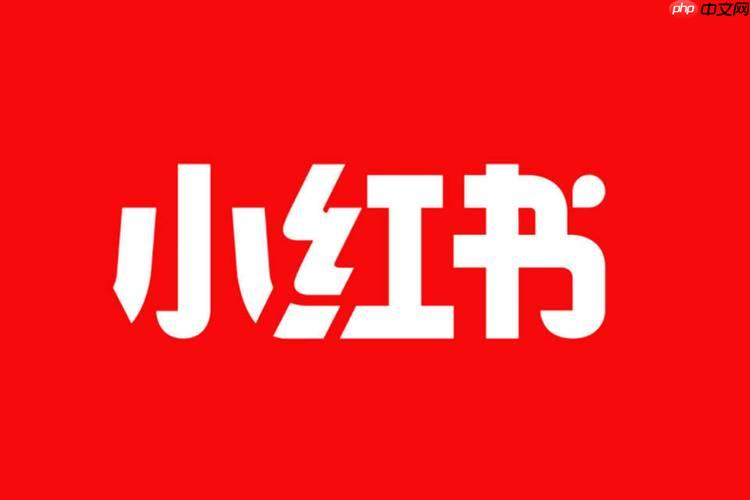 小红书如何打造个人IP形象 小红书个人品牌建设的完整方案