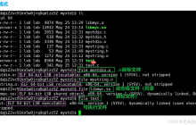 深入了解linux系统—— 库的链接和加载