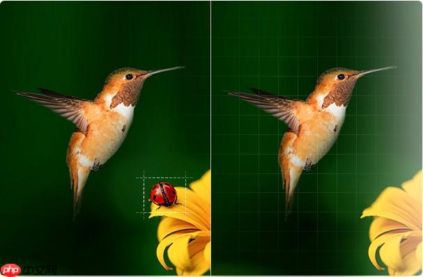 绘蛙AI修图怎样批量处理美食照片？餐饮行业应用