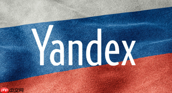 Yandex引擎全球查询入口-Yandex引擎网页直接打开链接