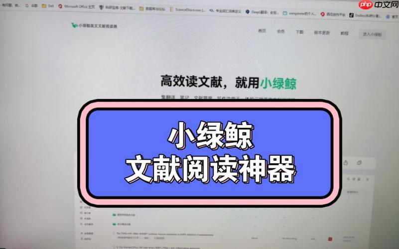 小绿鲸英文文献阅读器如何优化学习 小绿鲸英文文献阅读器实用操作技巧分享