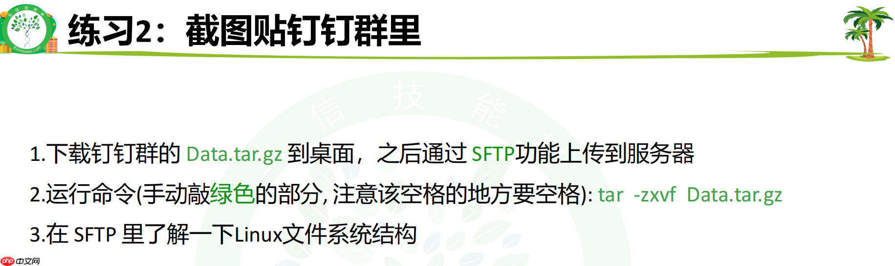 Linux 零基础入门 DAY12