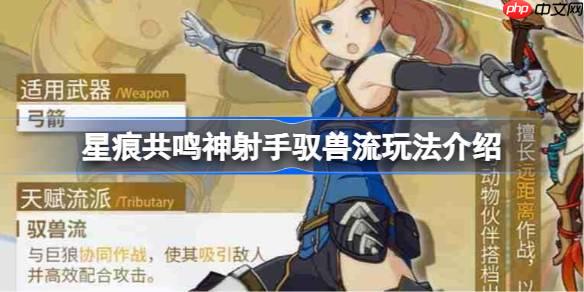 星痕共鸣神射手驭兽流该怎么玩-星痕共鸣神射手驭兽流玩法介绍