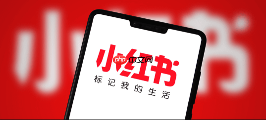 小红书国际版的叫法揭晓！怎样快速进入小红书国际版社区？
