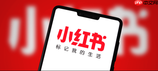 小红书海外店铺 小红书海外版怎么注册不了