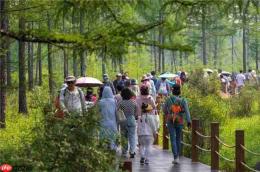 全国目光锁定阿尔山！这场大会为何选在这里？