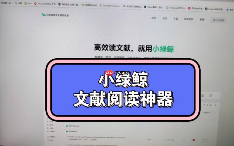 小绿鲸英文文献阅读器如何高效学习 小绿鲸英文文献阅读器实用技巧与操作步骤