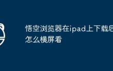 悟空浏览器在ipad上下载后怎么横屏看