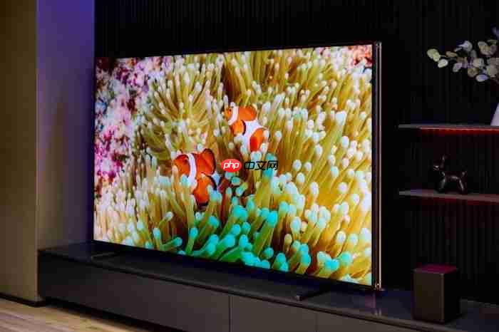 百吋电视适配指南:不同客厅如何拥抱巨幕体验?