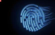 拉力猫指纹浏览器特点是什么样的 独特防关联技术深度评测