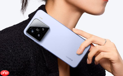 2025年上半年俄罗斯手机市场TOP5品牌：小米第一
