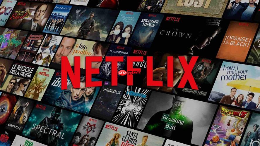 奈飞Netflix中文字幕开启步骤 详细简体中文界面设置教程